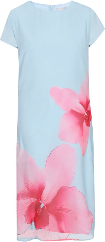 usha Dress