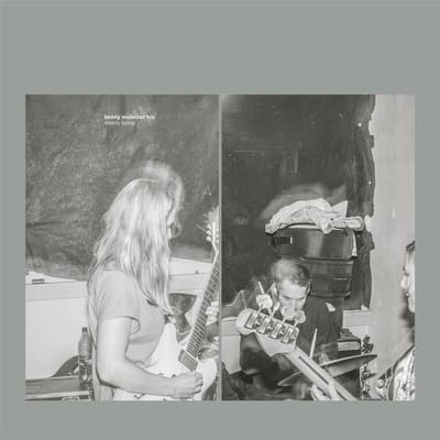 Hedvig Mollestad Trio - Smells Funny (LP)