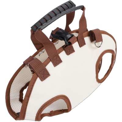Porte-chien à bandoulière Portable Respirant Sac de Transport pour Animaux de Compagnie avec Laisse pour Petits Chiens Chats Voyage Randonnée Marron S marron