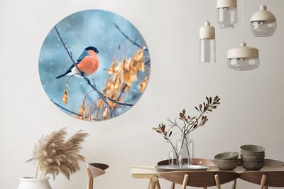 WallCircle® Wandcirkel 140x140 cm - Muurcirkel Sneeuw - Inductie beschermer - Vogel - Inductie kookplaat - Muurdecoratie woonkamer - Wanddecoratie slaapkamer - Kamer decoratie accessoires - Ronde schilderijen