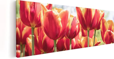 Artaza Canvas Schilderij Rode Tulpen - 60x20 cm - Wanddecoratie Bloementuin - Muurdecoratie Natuur - Kamer Accessoires