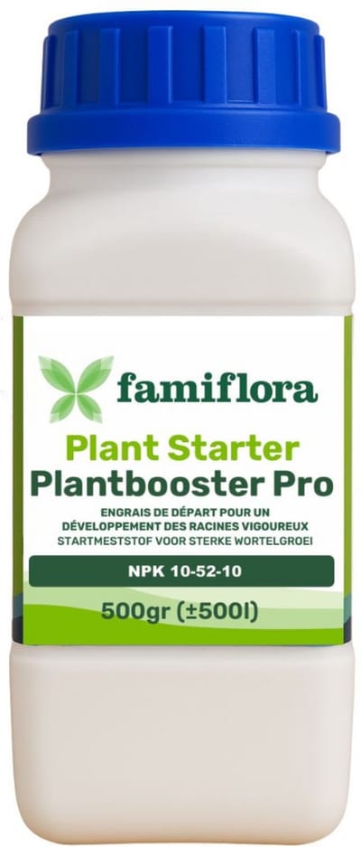 Famiflora meststof voor binnen- & buitenplanten - Plant Starter - 500 g - Voor binnen- en buitenplanten - Hoge fosforwaarde stimuleert een sterke en diepe beworteling