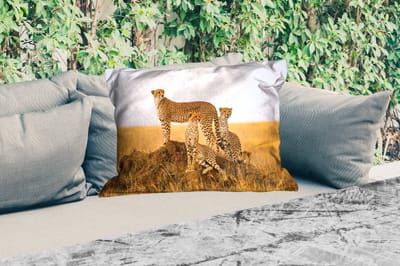 Buitenkussens - Cheetah - Gras - Natuur - Savanne - 60x40 cm - Weerbestendig