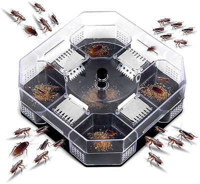 Allecto - Kakkerlak Krekels - Ongediertebestrijding - Herbruikbare val - 137 mm - Milieuvriendelijk - Ideaal voor keuken - Vangt insecten