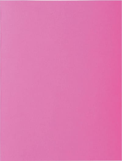 Exacompta 10x ROCK''S 80 Pak van 30 inlegmappen - 22x31cm voor A12 - Roze - 807020E