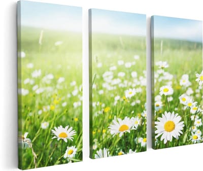 Artaza Canvas Schilderij Drieluik Bloemenveld Van Madeliefjes - Bloemen - 120x80 - Foto Op Canvas - Canvas Print