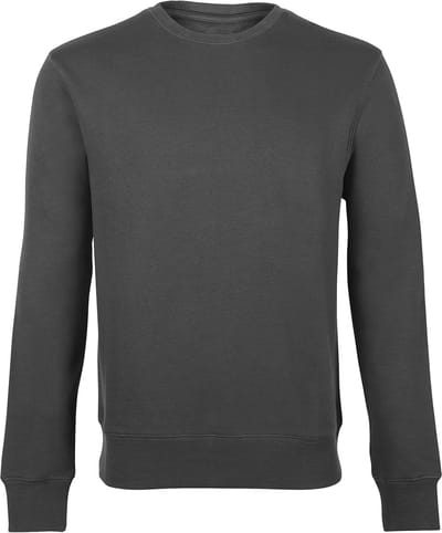 Uniseks Volwassen Sweatshirt Grijs - Premium, Hoogwaardige Trui voor Iedere Gelegenheid