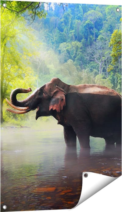 Gards Tuinposter Olifant in het Water - 60x90 cm - Tuindoek - Tuindecoratie - Wanddecoratie buiten - Tuinschilderij