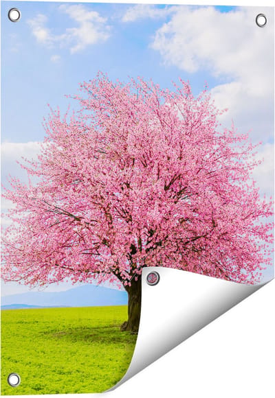 Gards Tuinposter Roze Sakura Bloesem Boom in het Groene Veld - 40x50 cm - Tuindoek - Tuindecoratie - Wanddecoratie buiten - Tuinschilderij