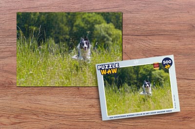 Puzzel Een sprintende border collie in het hoge groene gras - Legpuzzel - Puzzel 500 stukjes