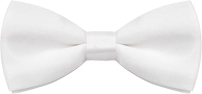 Stijlvolle Hondenhalsband met Strikje van Fluweel voor Trouwerijen, Verjaardagen en Feestelijke Gelegenheden - Wit