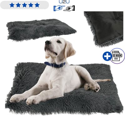 Hondenbed 65x50 cm - zachte hondenmand met antislip onderzijde - donkergrijs hondenkussen - comfortabele ligplaats voor kleine en middelgrote honden - ademend en duurzaam materiaal voor dagelijks gebruik thuis Met Ebook