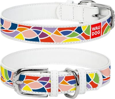 WAUDOG Vitrage Halsband / Hondenhalsband - Echt Leder - Wit - Full Colour Print - Breedte: 15 mm - Nekomtrek: 27 - 36 cm (GELIEVE ALVORENS BESTELLEN OPMETEN)