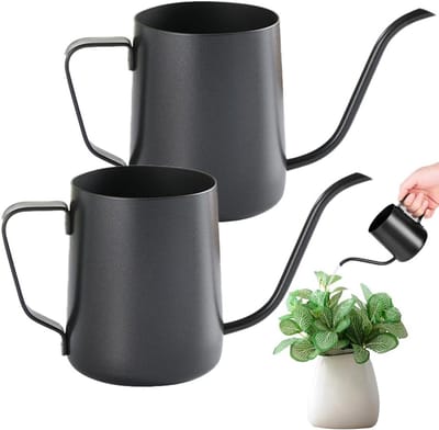 Compacte 350 ml Gieter Set van 2 Stuks - Roestvrijstalen Vintage Watering Can voor Bonsai, Huishoudplanten en Vetplanten