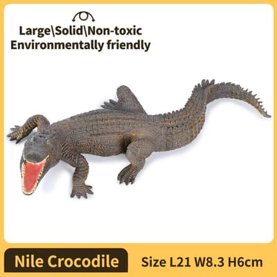 Alligator Krokodil Beeldje Plastic Figuur Model - Leuk Educatief Speelspeelgoed voor Jongens Meisjes en Kinderen Leeftijd 18M+ Duurzaam