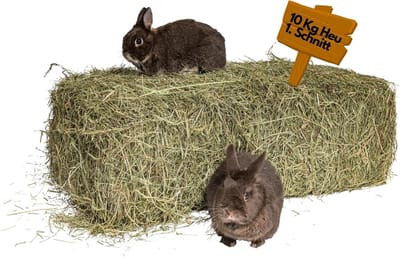 Hooi 10 kg voor konijnen en cavia's - Vers en onbehandeld 1e gesneden natuurvoedsel