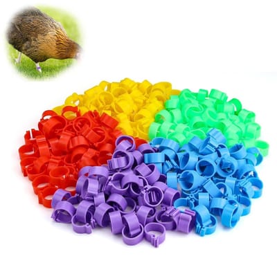 Dailygoods- Kippenringen 250 stuks - Gevogelte Voetringen - Herbruikbaar - Sterk/Duurzaam - Vogelidentificatieringen - PP Materiaal