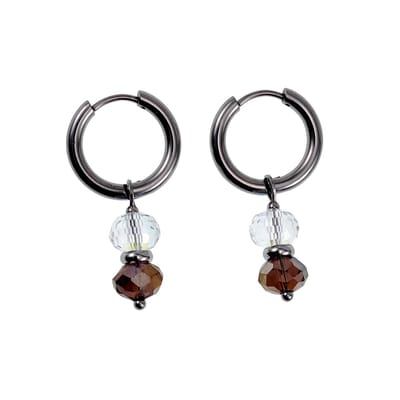 ∅18mm x 2,5mm Oorbellen Dames - Gepolijst RVS - Oorringen met Bruine Gefacetteerde Kristalkrallen Hanger - Bungelende Oorbellen