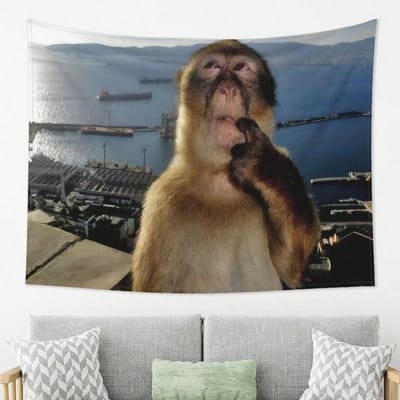 1 pièce Tapisserie Murale Meme Singe Viral Polyester Impression 2D Art Mural Pour Chambre Salon Décoration Tendance Meme Cadeau Cool 120X180cm