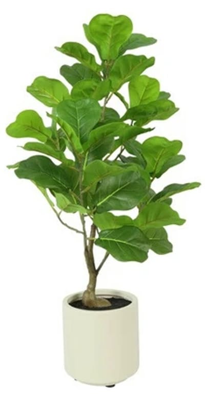 Kunstpl ficus lyrata 15x15x66cm grn