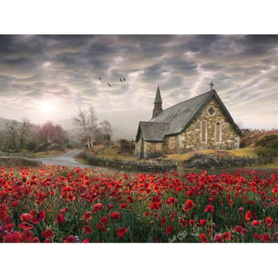 5D Diamond borduurwerk landschap Strass mozaïek Kit volledige ronde Diamond schilderij landschap bloem 20X30CM gray