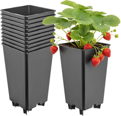 Garronda Set van 10 kunststof bloempotten met poten voor aardbeien en frambozen (Zwart, 12 x 12 x 21 cm – 2 L) GD-KW-F