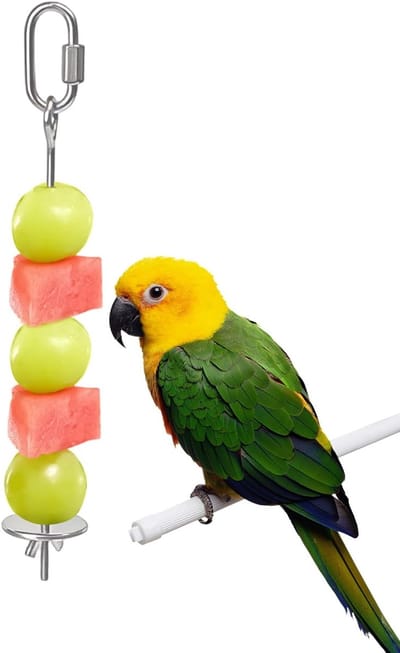 Vogel Snacks Spies - Groentestok Voedselhouder - Vogels Voeren - Roestvrij Staal - Klein 175 cm - Zilverkleurig