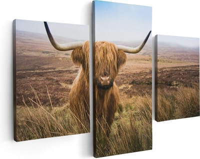 Artaza Canvas Schilderij Drieluik Schotse Hooglander Koe In Het Veld - 90x60 - Foto Op Canvas - Canvas Print