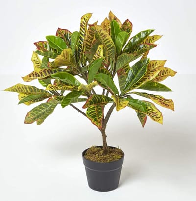 Homescapes kunstplant groen 'Wonder Shrub' in pot, 65 cm