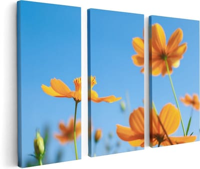 Artaza Canvas Schilderij Drieluik Oranje Cosmea Bloemen - 120x80 - Foto Op Canvas - Canvas Print