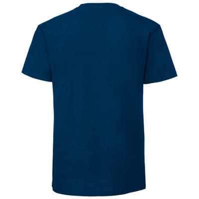 Fruit of the Loom Unisex volwassen iconisch 195 T-shirt (Blauw in de bergen)