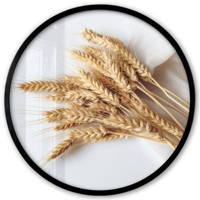 Poster in lijst Rond - Fotolijst 40x40 cm - Posters - Graan - Geel - Wit - Natuur - Stilleven - Ronde posterlijst zwart - Decoratie - Wanddecoratie woonkamer - Muurdecoratie slaapkamer