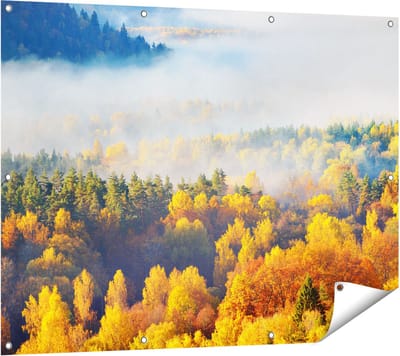 Gards Tuinposter Gekleurde Herfstbos met Mist - 120x90 cm - Tuindoek - Tuindecoratie - Wanddecoratie buiten - Tuinschilderij
