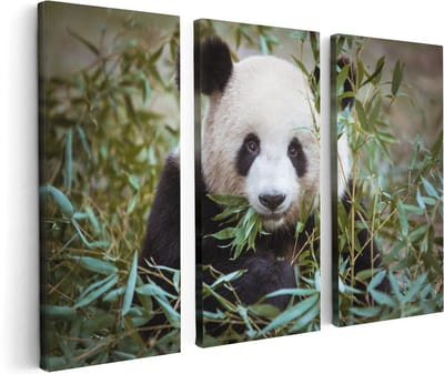 Artaza Canvas Schilderij Drieluik Panda Eet Planten - 120x80 - Foto Op Canvas - Canvas Print
