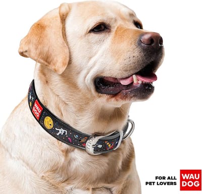WAUDOG Nasa Halsband / Hondenhalsband - Echt Leder - Zwart - Full Colour Print - Breedte: 35 mm - Nekomtrek: 44 - 58 cm (GELIEVE ALVORENS BESTELLEN OPMETEN)