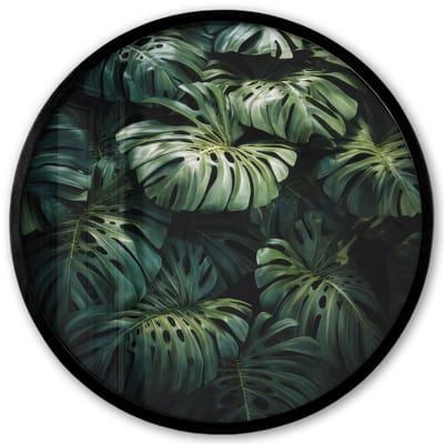 Poster in lijst Rond - Fotolijst 40x40 cm - Posters - Plant - Monstera - Lichtinval - Ronde posterlijst zwart - Decoratie - Wanddecoratie woonkamer - Muurdecoratie slaapkamer