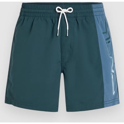 O'Neill Retro 14'' Boardshorts blauw