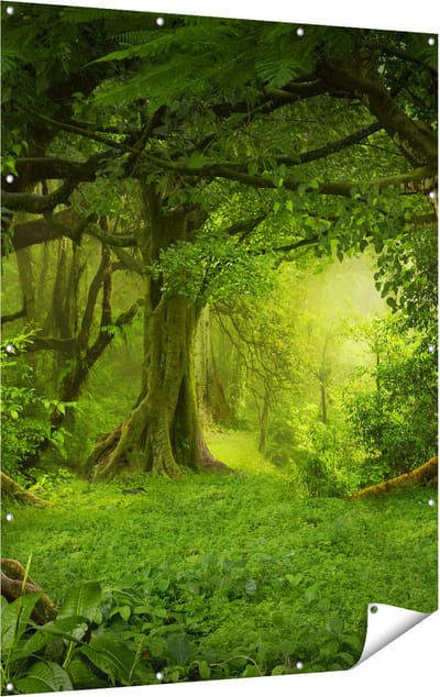 Gards Tuinposter Groene Tropische Jungle Bos - 120x160 cm - Tuindoek - Tuindecoratie - Wanddecoratie buiten - Tuinschilderij