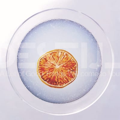 De Stijl - A Lot Of Good Things Will Come To You (CD)