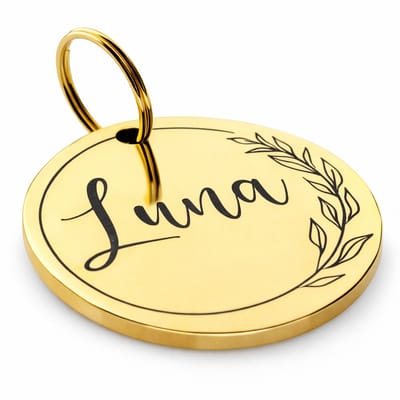 By Ollies dierenpenning goud - 30mm - RVS - met cirkel - wandelen - hondenpenning