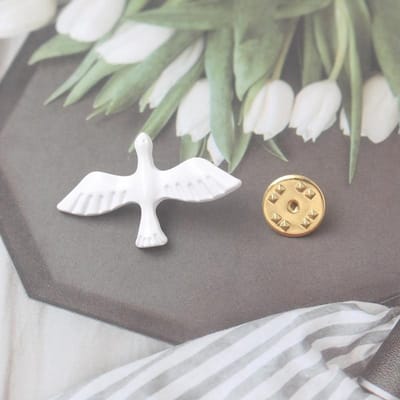 Nieuwe Trendy Zwaluw Broche Acryl Vintage Witte Duif Dierlijke Vogels Broche Speld Mode Sieraden Meisjes Accessoires Voor Vrouwen white