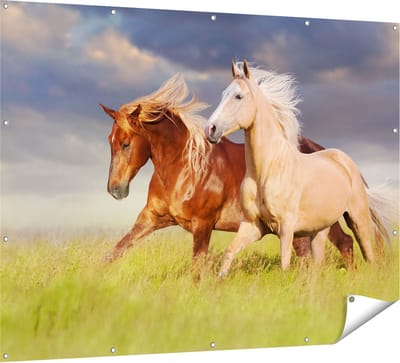 Gards Tuinposter Bruin en Wit Paard in de Wei - 160x120 cm - Tuindoek - Tuindecoratie - Wanddecoratie buiten - Tuinschilderij