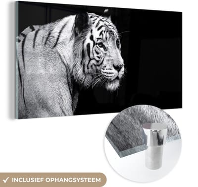 MuchoWow® Glasschilderij 40x20 cm - Schilderij acrylglas - Tijger - Wilde dieren - Licht - Foto op glas - Schilderijen