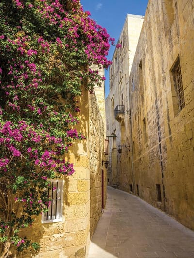 Fotobehang Old Town Flowers | XXL - 206cm x 275cm | 130g/m2 Vlies