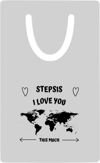 Hacebo® - stepsis I love you this much metalen boekenlegger - Zus - geweldige stiefzus - liefste stiefzus - verjaardag - cadeau - kado - bedankje - geschenk Bladwijzer boekenleggers - 7.6 cm x 5cm