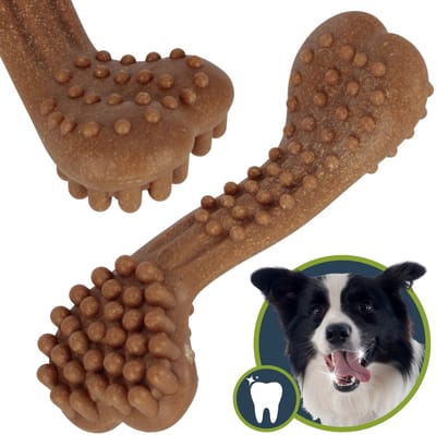 Hondenspeeltje, NATUURLIJKE BEEN om op te kauwen, bijtspeeltje, kauwsnack 17 cm