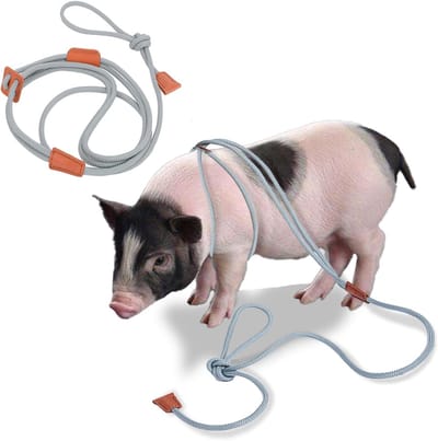 VHV - Hondentuigje - Varkensharnas - Tuigje - Verstelbaar - Met hondenlijn - Voor kleine en middelgrote varkens - Voor puppies - Wandelen - Grijs