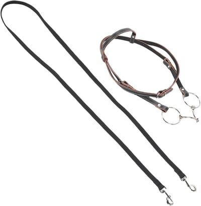 Premium Leren Paardentuig met Teugels, Uitstekende Stiksels, Onderhoudsvriendelijk en Comfortabel voor Paardliefhebbers (L)