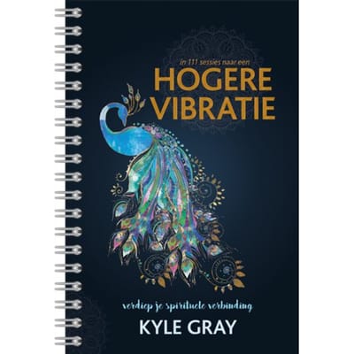 In 111 Sessies Naar Een Hogere Vibratie - Kyle Gray