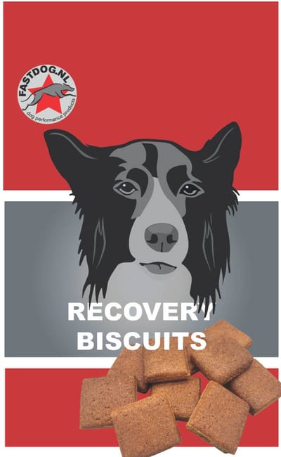 Fastdog Recovery Biscuits